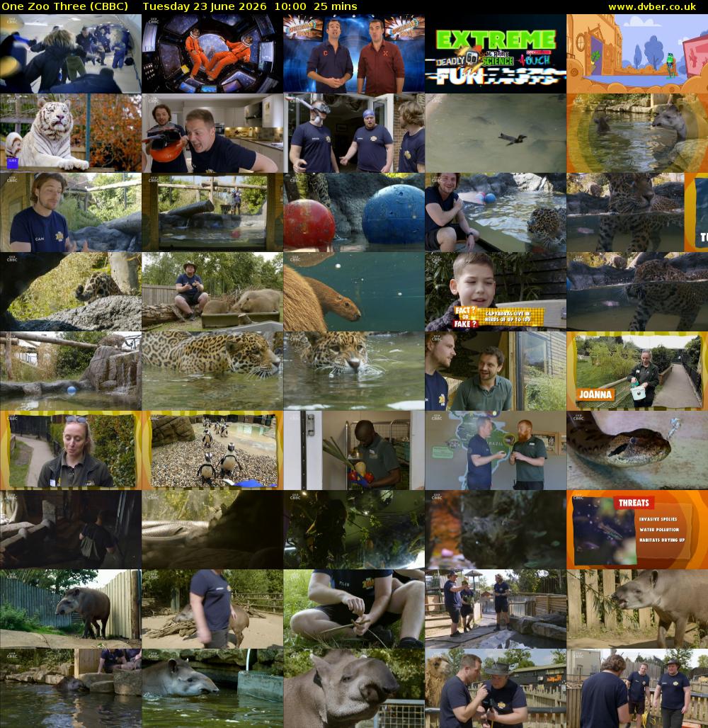 One Zoo Three (CBBC) Tuesday 23 June 2026 10:00 - 10:25
