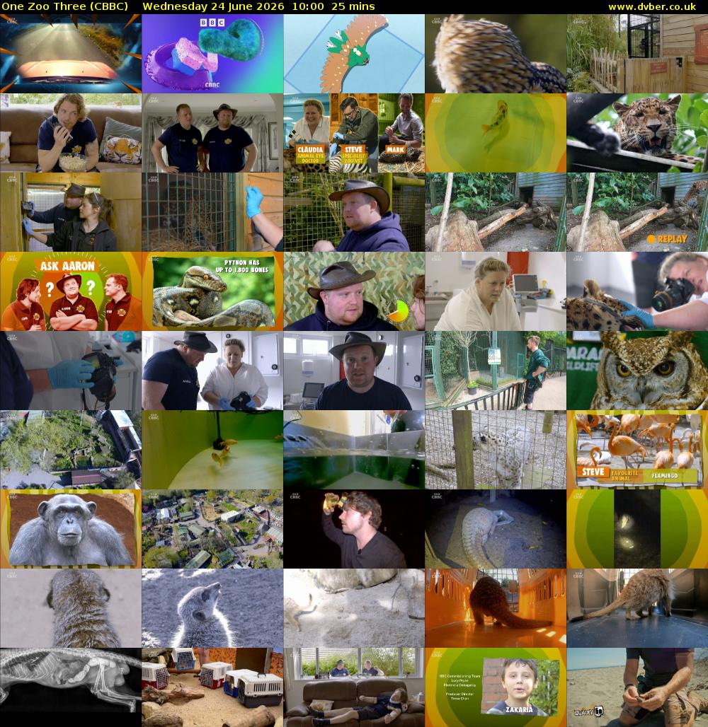 One Zoo Three (CBBC) Wednesday 24 June 2026 10:00 - 10:25