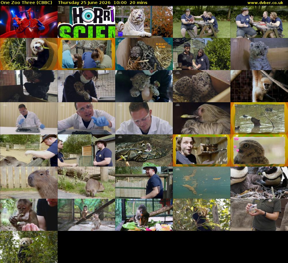 One Zoo Three (CBBC) Thursday 25 June 2026 10:00 - 10:20