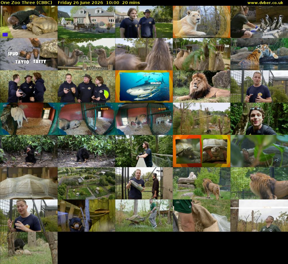 One Zoo Three (CBBC) Friday 26 June 2026 10:00 - 10:20