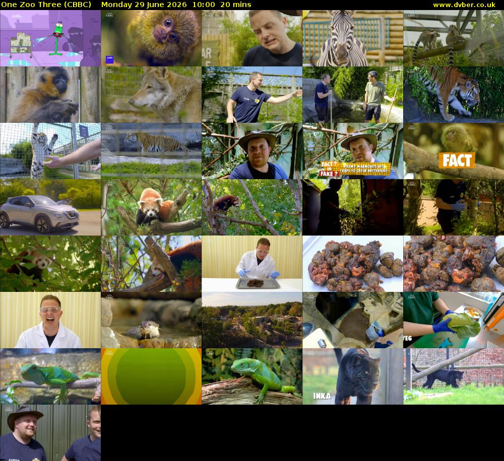 One Zoo Three (CBBC) Monday 29 June 2026 10:00 - 10:20