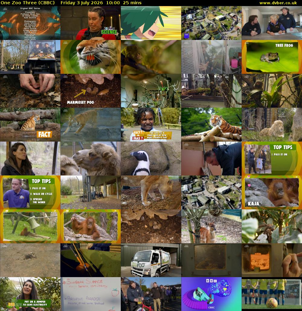 One Zoo Three (CBBC) Friday 3 July 2026 10:00 - 10:25