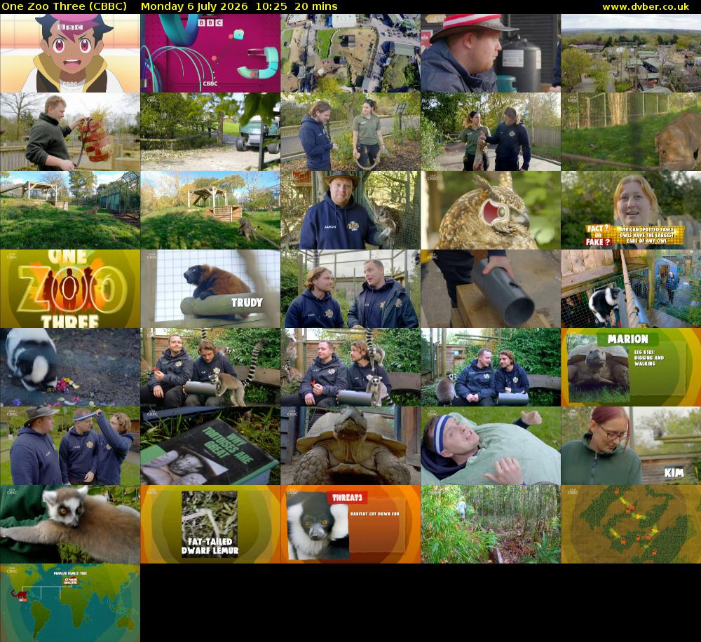 One Zoo Three (CBBC) Monday 6 July 2026 10:25 - 10:45