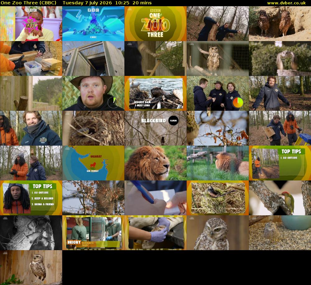 One Zoo Three (CBBC) Tuesday 7 July 2026 10:25 - 10:45