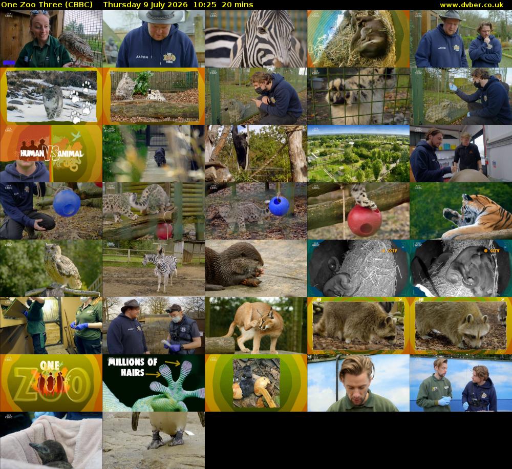 One Zoo Three (CBBC) Thursday 9 July 2026 10:25 - 10:45