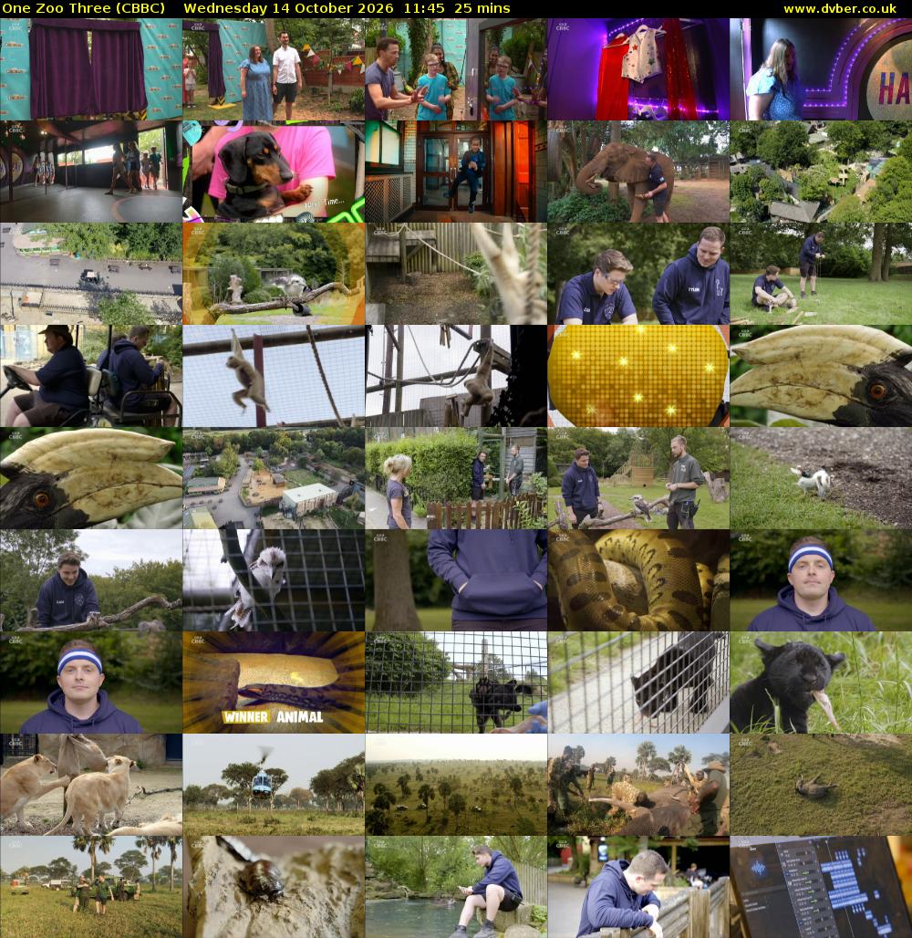 One Zoo Three (CBBC) Wednesday 14 October 2026 11:45 - 12:10