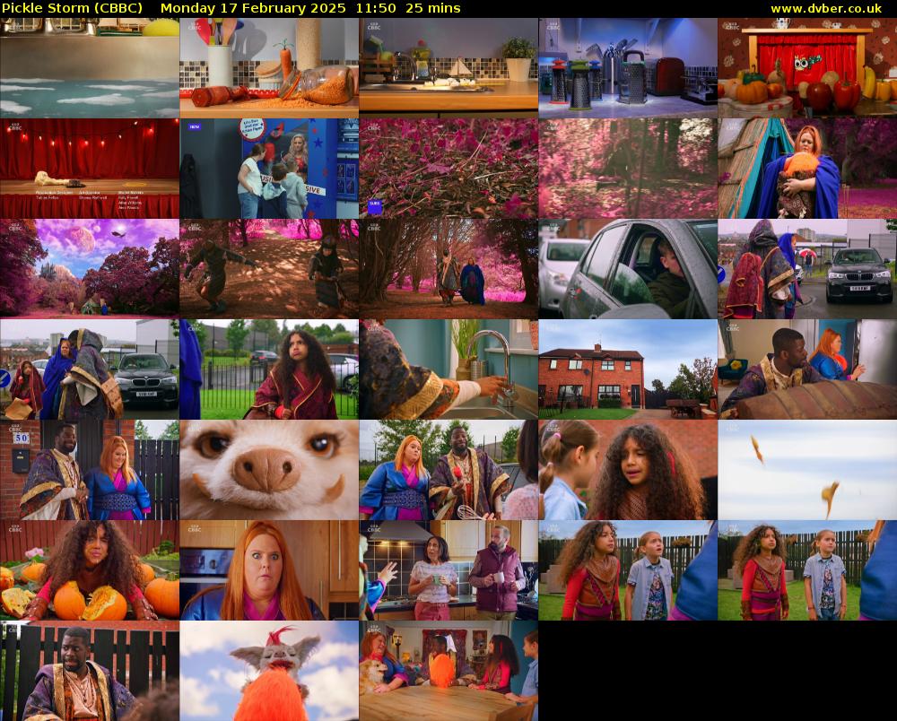 Pickle Storm (CBBC) Monday 17 February 2025 11:50 - 12:15