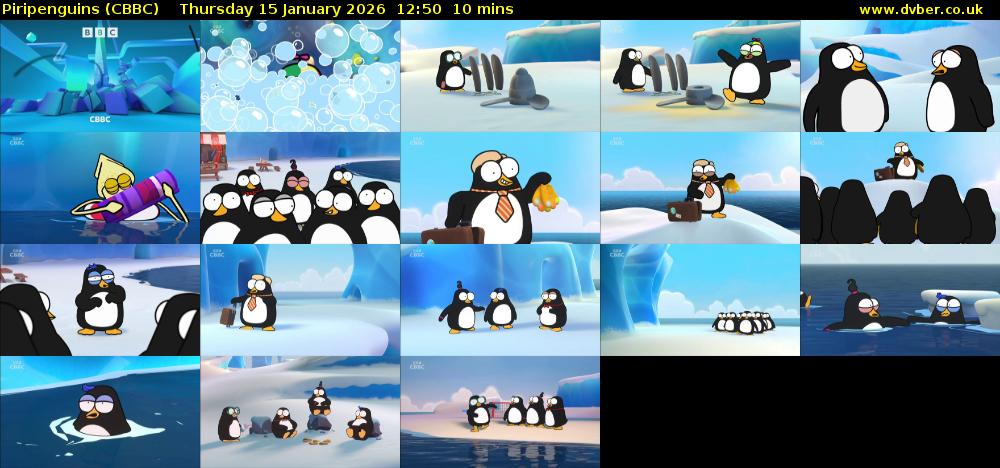 Piripenguins (CBBC) Thursday 15 January 2026 12:50 - 13:00