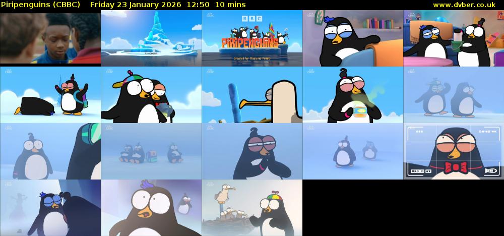 Piripenguins (CBBC) Friday 23 January 2026 12:50 - 13:00