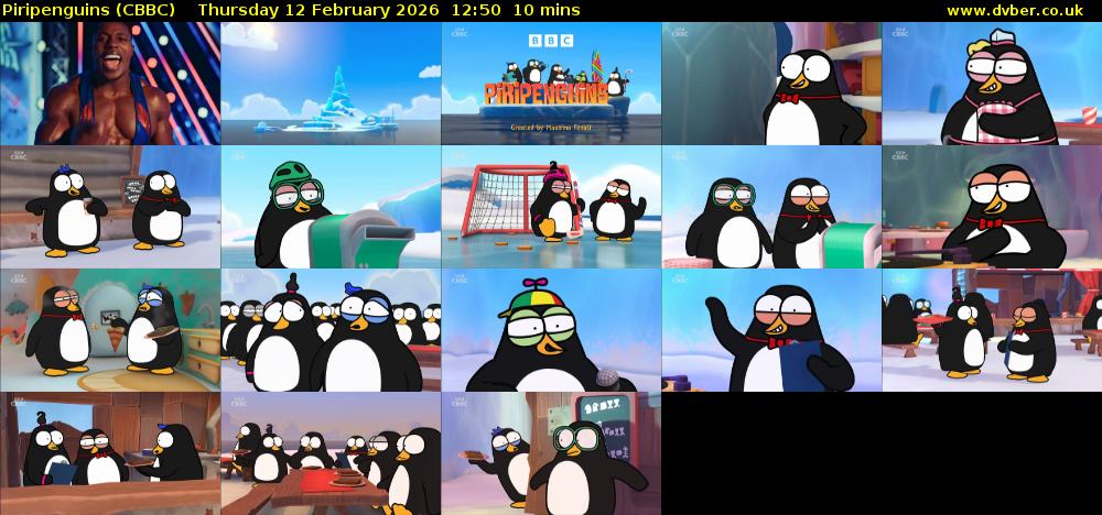 Piripenguins (CBBC) Thursday 12 February 2026 12:50 - 13:00