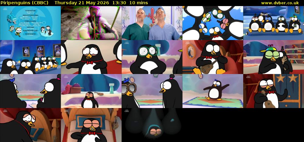 Piripenguins (CBBC) Thursday 21 May 2026 13:30 - 13:40