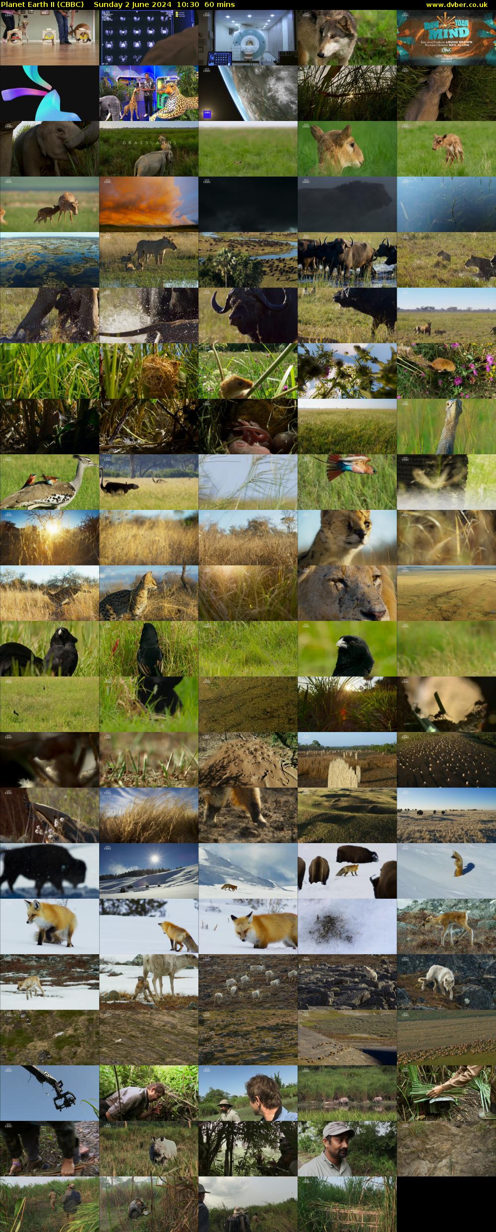 Planet Earth II (CBBC) Sunday 2 June 2024 10:30 - 11:30