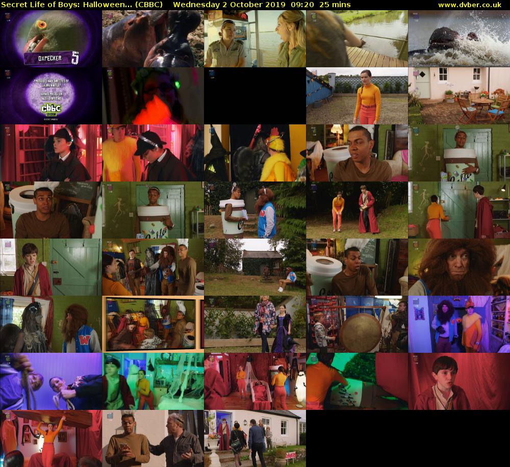 Secret Life of Boys: Halloween... (CBBC) Wednesday 2 October 2019 09:20 - 09:45