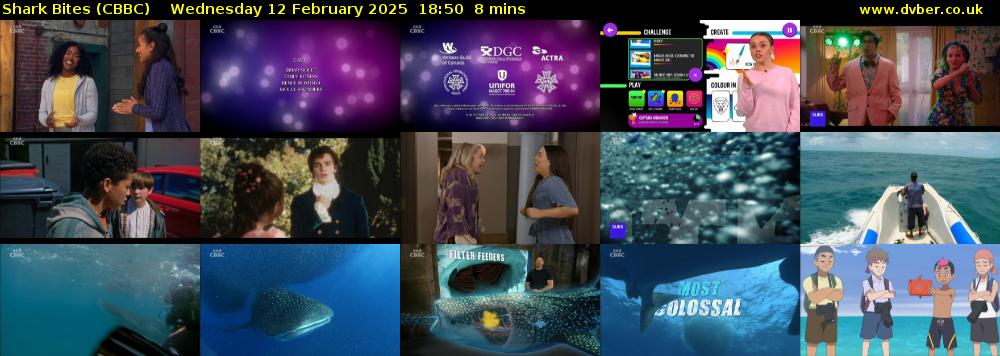 Shark Bites (CBBC) Wednesday 12 February 2025 18:50 - 18:58
