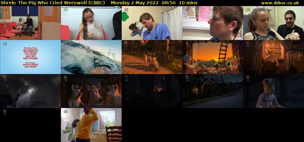 Shrek: The Pig Who Cried Werewolf (CBBC) Monday 2 May 2022 08:50 - 09:00