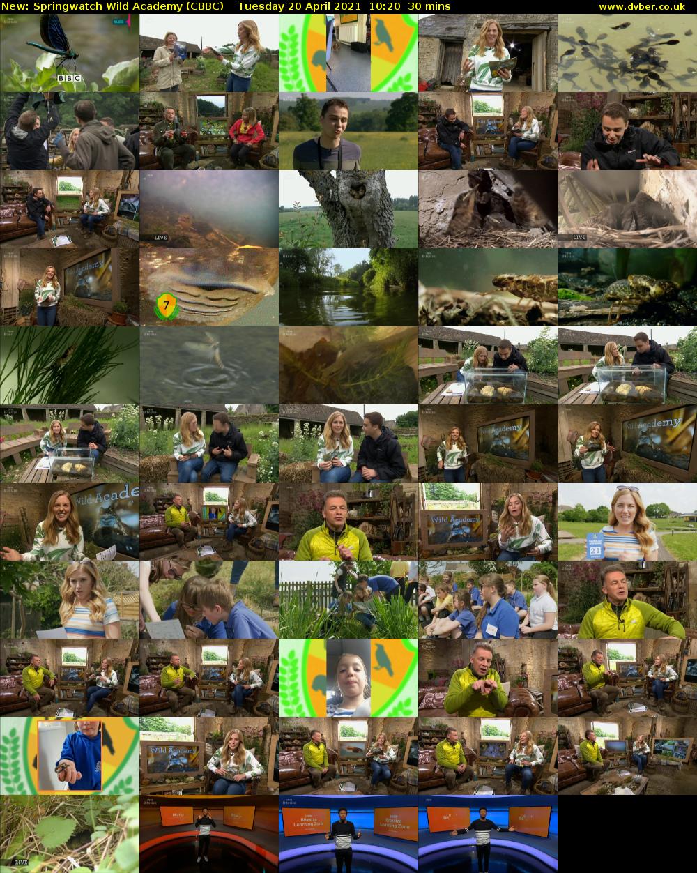 Springwatch Wild Academy (CBBC) Tuesday 20 April 2021 10:20 - 10:50