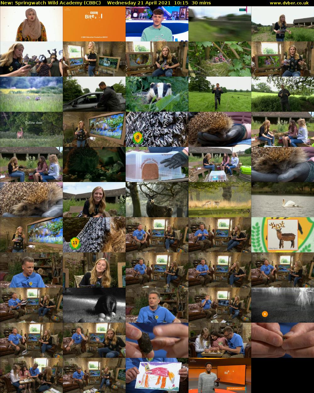 Springwatch Wild Academy (CBBC) Wednesday 21 April 2021 10:15 - 10:45