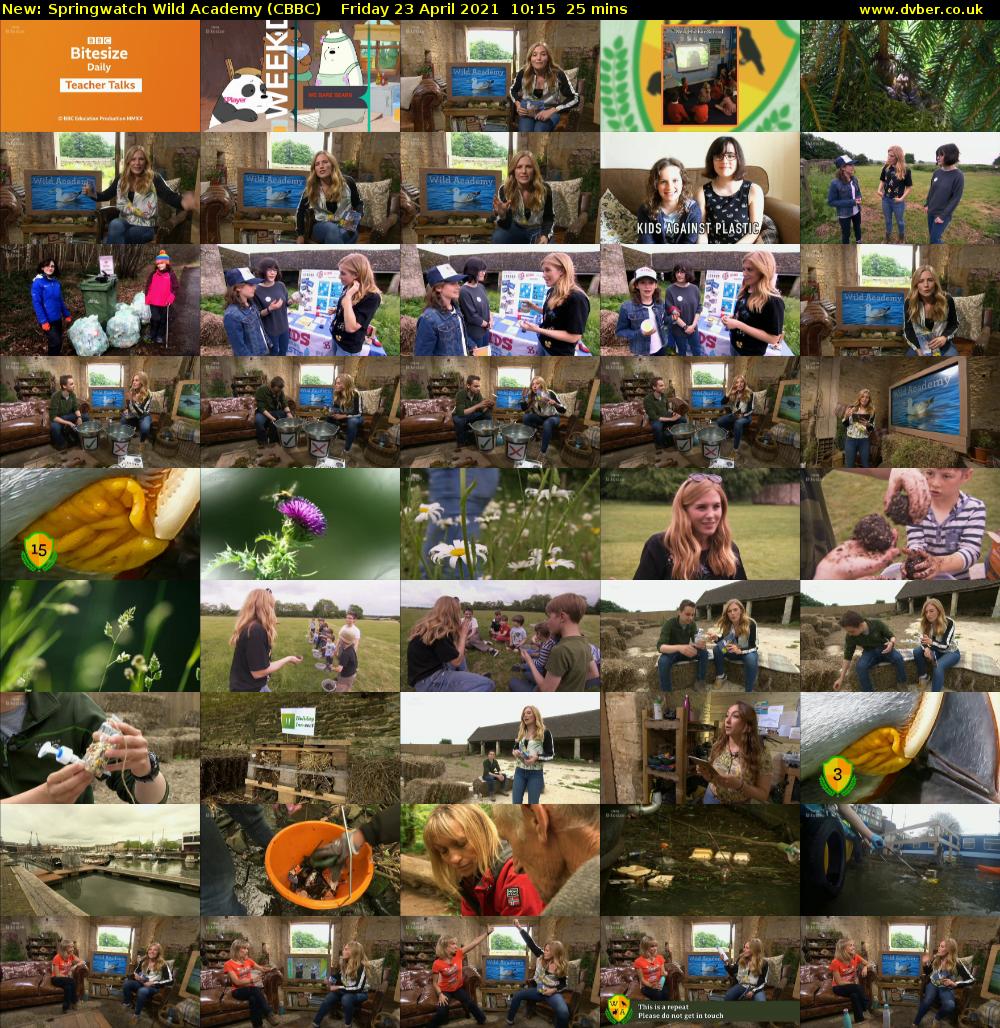 Springwatch Wild Academy (CBBC) Friday 23 April 2021 10:15 - 10:40