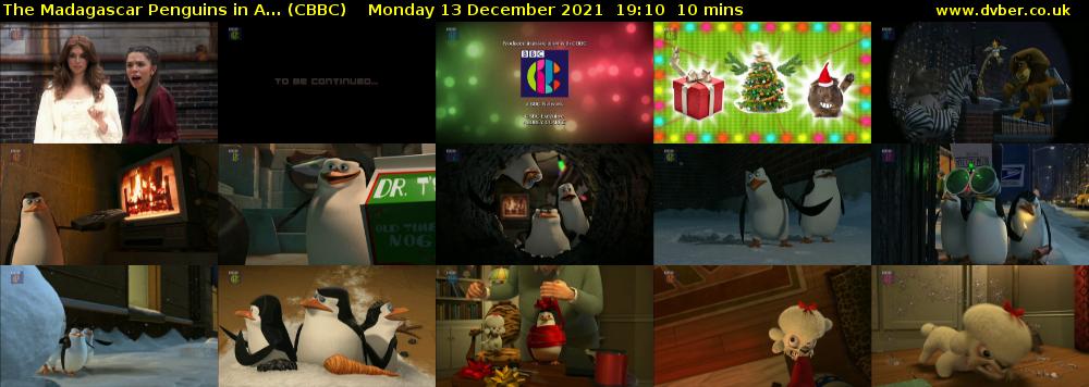 The Madagascar Penguins in a... (CBBC) Monday 13 December 2021 19:10 - 19:20
