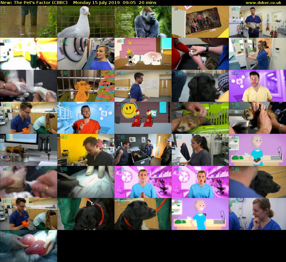 The Pet's Factor (CBBC) Monday 15 July 2019 09:05 - 09:25