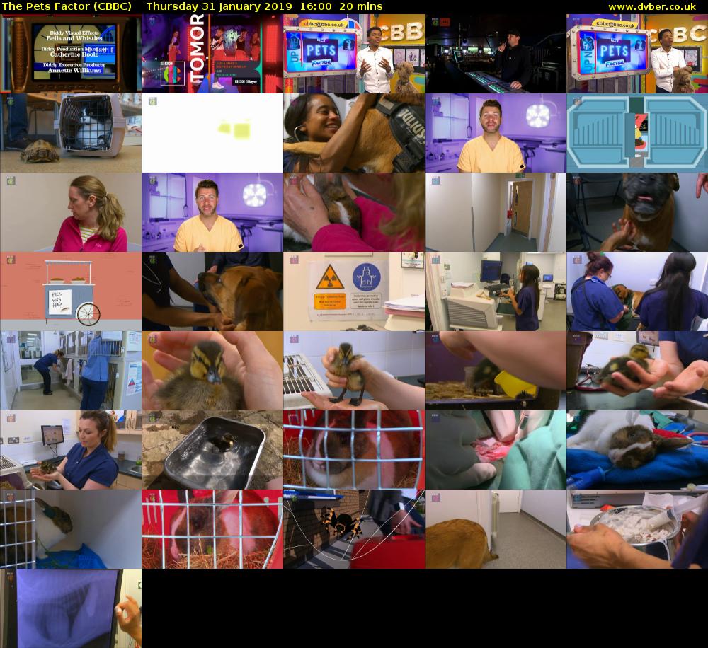 The Pets Factor (CBBC) Thursday 31 January 2019 16:00 - 16:20