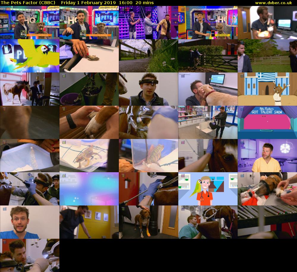 The Pets Factor (CBBC) Friday 1 February 2019 16:00 - 16:20