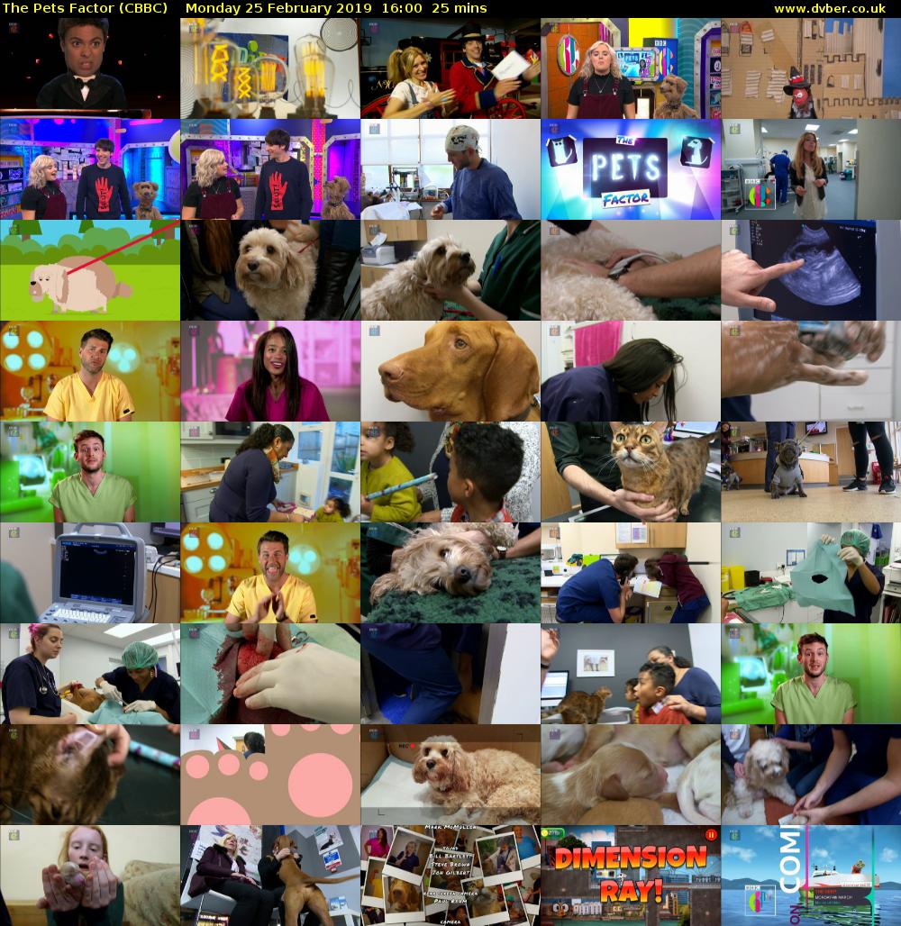 The Pets Factor (CBBC) Monday 25 February 2019 16:00 - 16:25