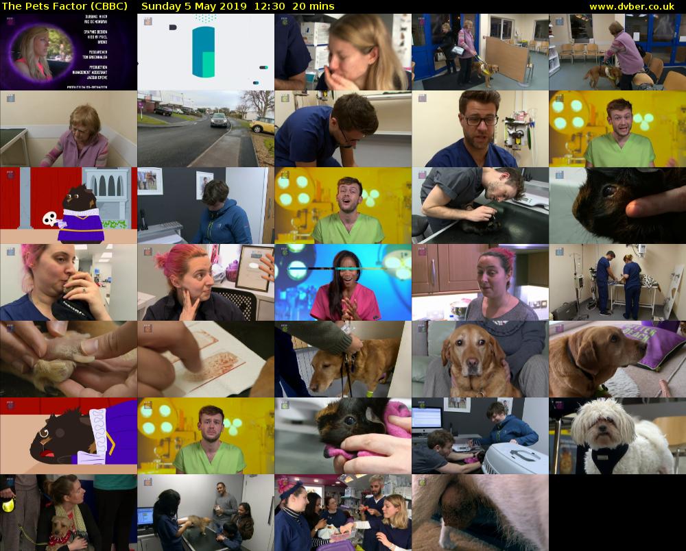 The Pets Factor (CBBC) Sunday 5 May 2019 12:30 - 12:50