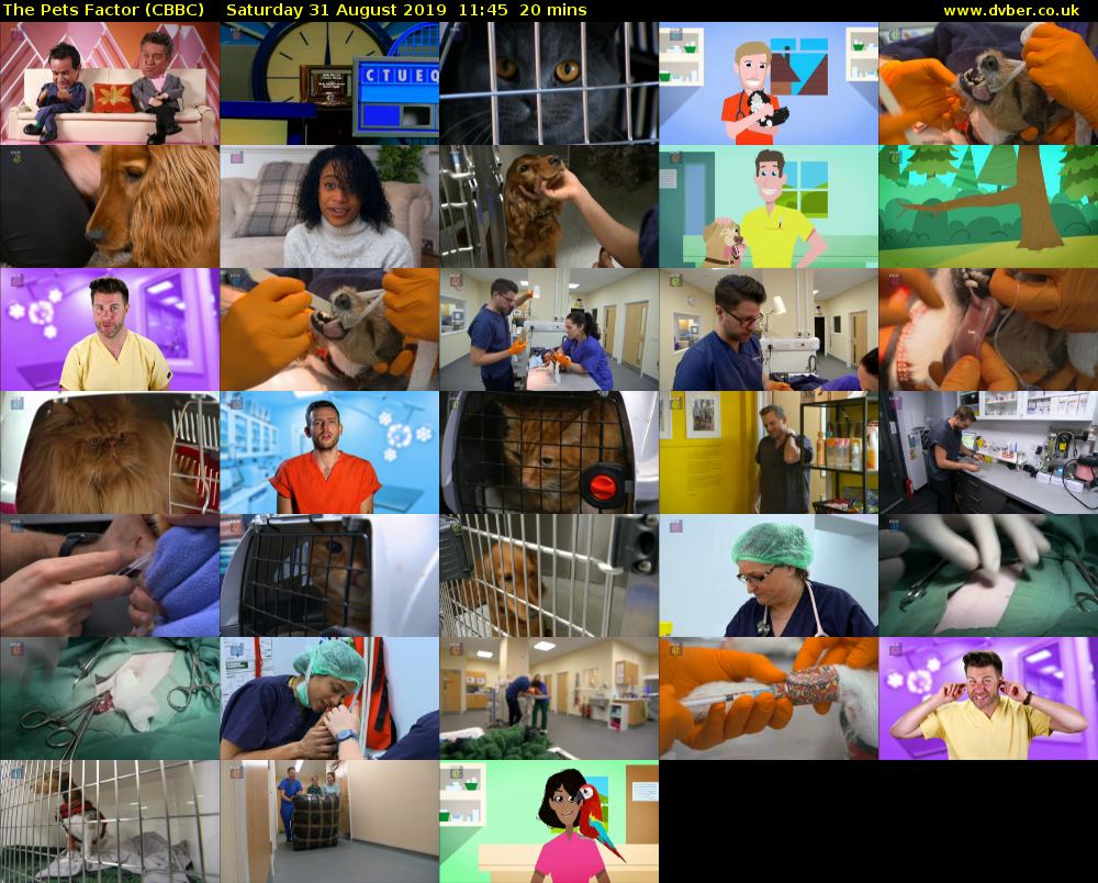 The Pets Factor (CBBC) Saturday 31 August 2019 11:45 - 12:05