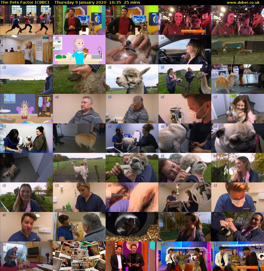 The Pets Factor (CBBC) Thursday 9 January 2020 16:35 - 17:00