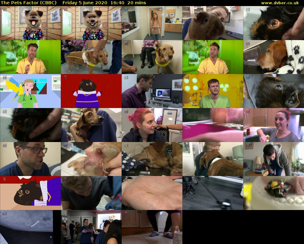 The Pets Factor (CBBC) Friday 5 June 2020 16:40 - 17:00
