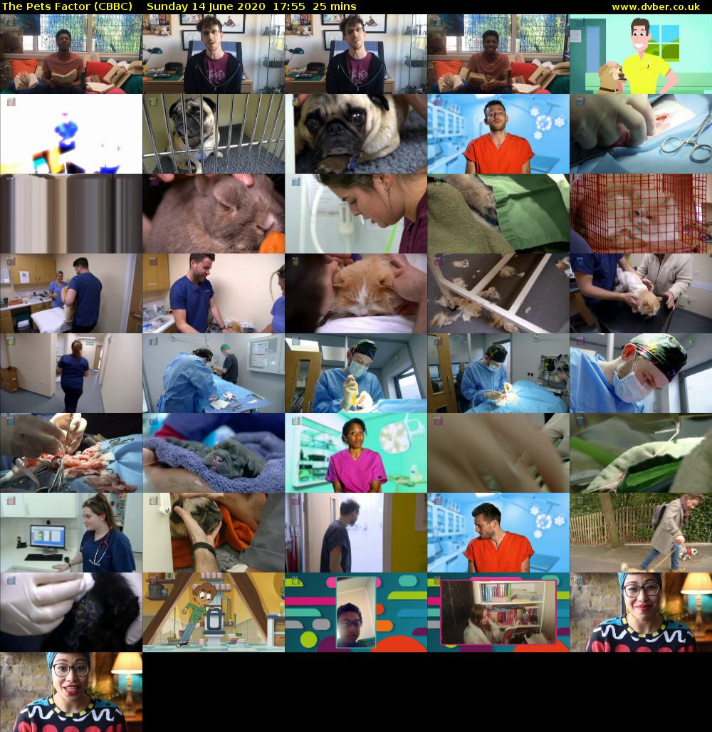 The Pets Factor (CBBC) Sunday 14 June 2020 17:55 - 18:20