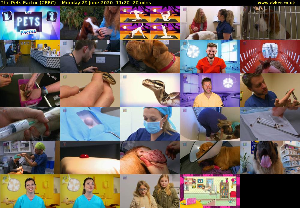 The Pets Factor (CBBC) Monday 29 June 2020 11:20 - 11:40