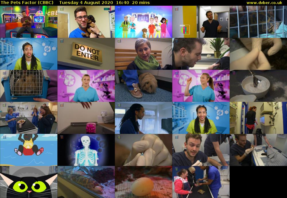 The Pets Factor (CBBC) Tuesday 4 August 2020 16:40 - 17:00