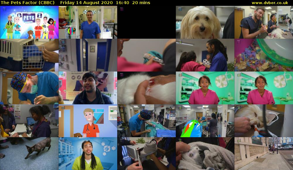 The Pets Factor (CBBC) Friday 14 August 2020 16:40 - 17:00