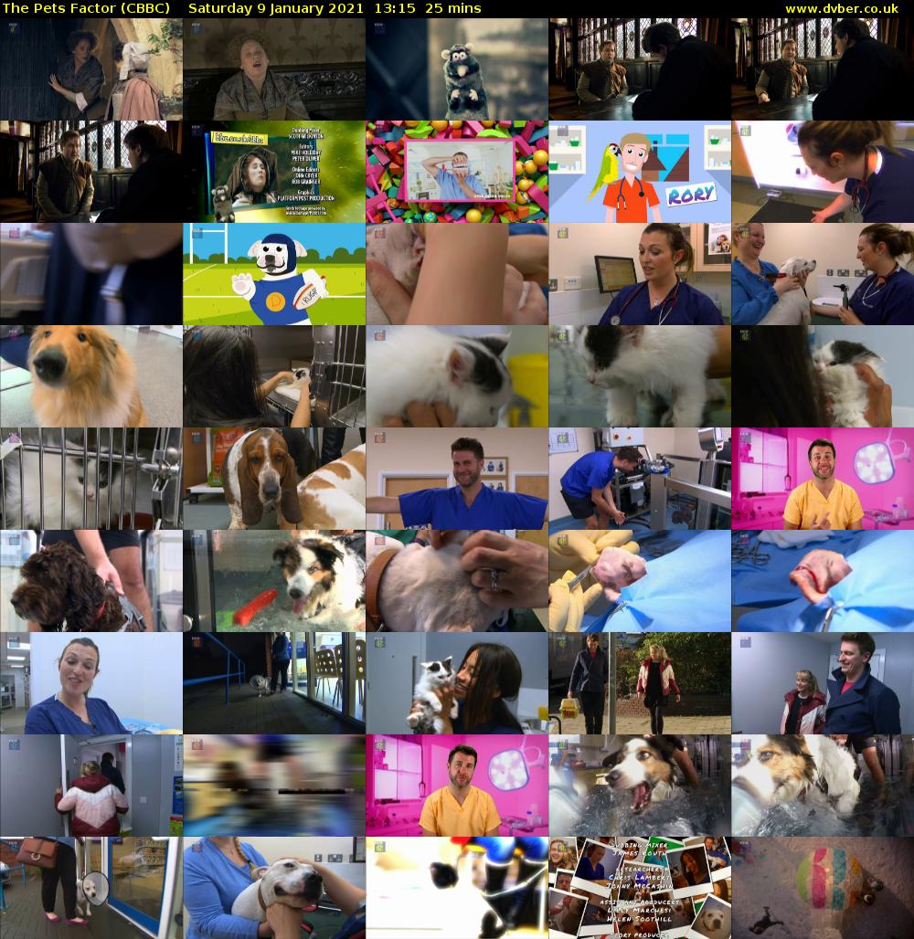 The Pets Factor (CBBC) Saturday 9 January 2021 13:15 - 13:40