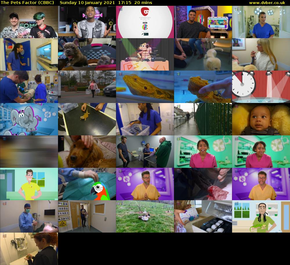 The Pets Factor (CBBC) Sunday 10 January 2021 17:15 - 17:35