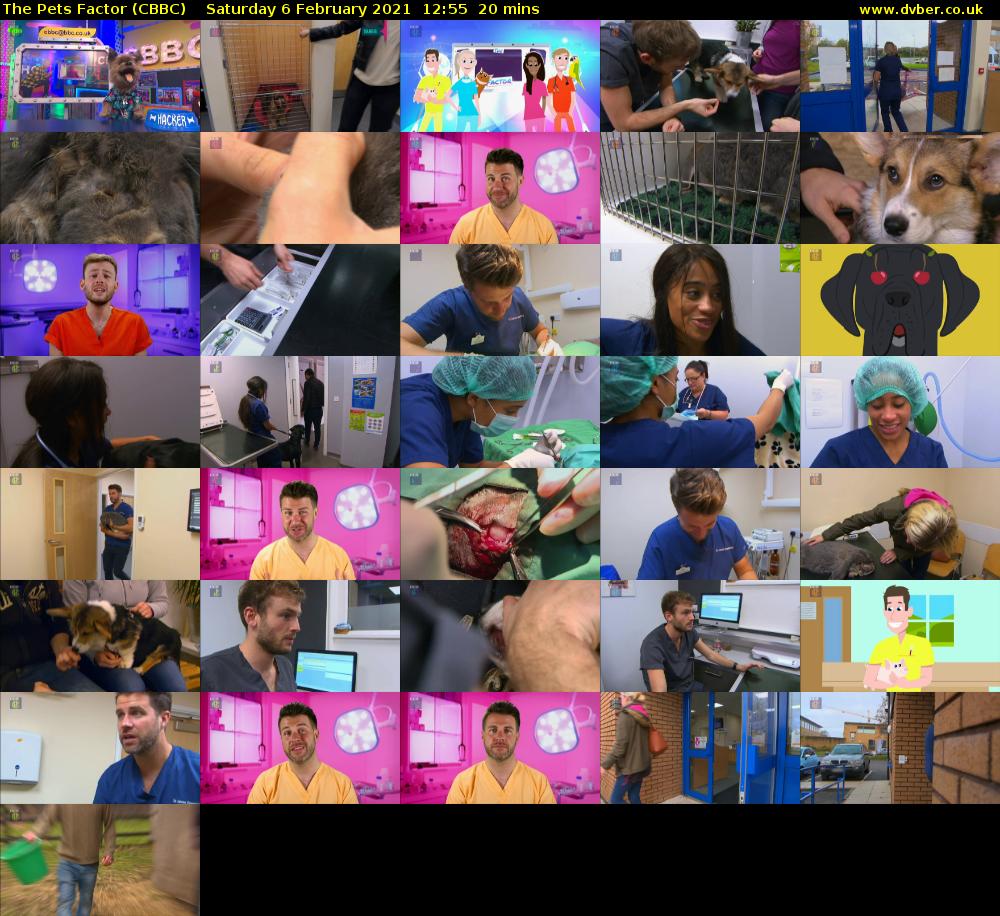 The Pets Factor (CBBC) Saturday 6 February 2021 12:55 - 13:15