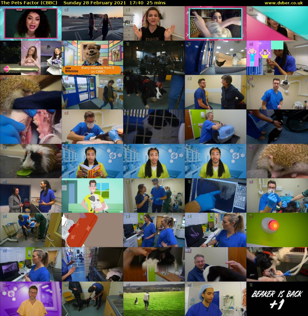 The Pets Factor (CBBC) Sunday 28 February 2021 17:40 - 18:05