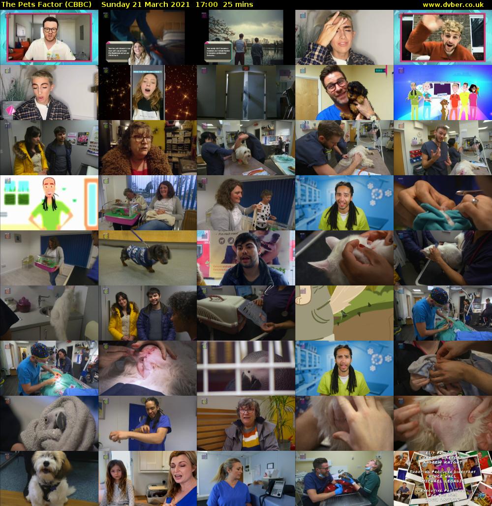 The Pets Factor (CBBC) Sunday 21 March 2021 17:00 - 17:25