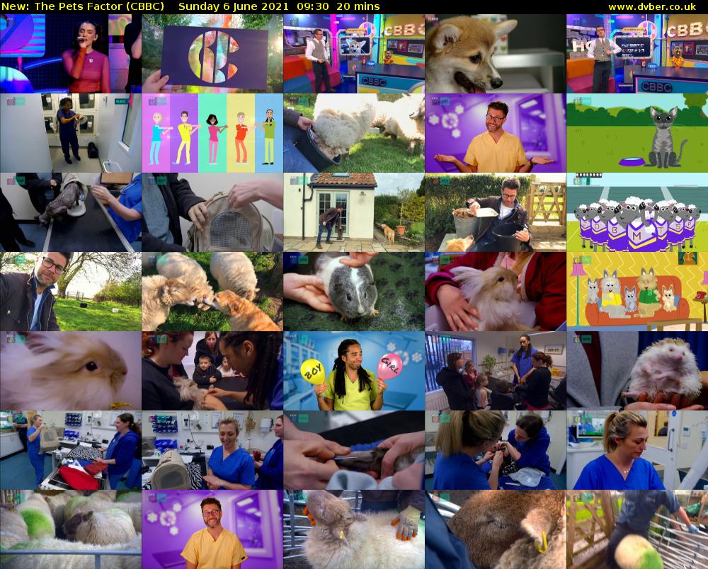 The Pets Factor (CBBC) Sunday 6 June 2021 09:30 - 09:50