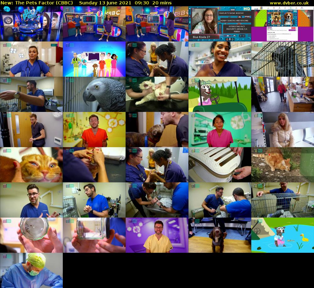 The Pets Factor (CBBC) Sunday 13 June 2021 09:30 - 09:50