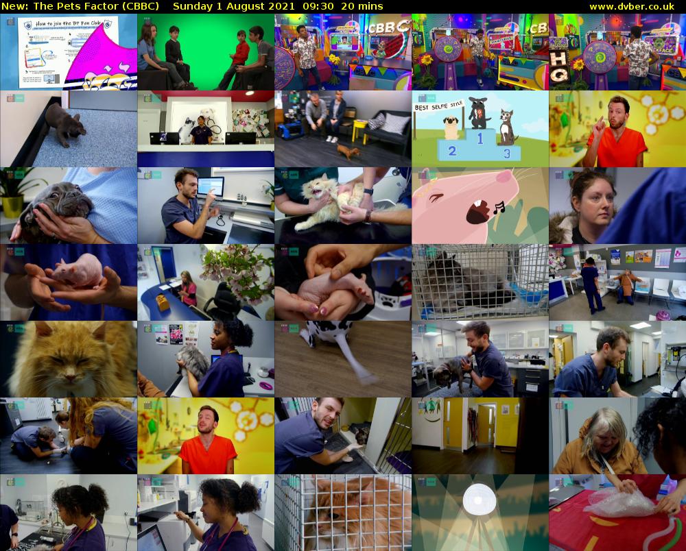 The Pets Factor (CBBC) Sunday 1 August 2021 09:30 - 09:50