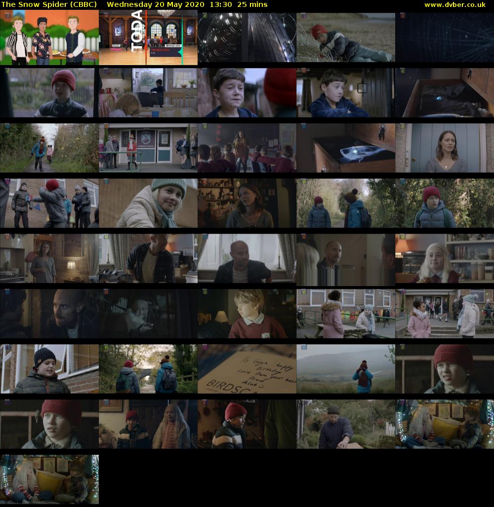 The Snow Spider (CBBC) Wednesday 20 May 2020 13:30 - 13:55
