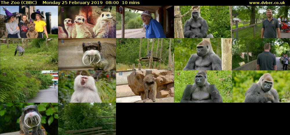 The Zoo (CBBC) Monday 25 February 2019 08:00 - 08:10