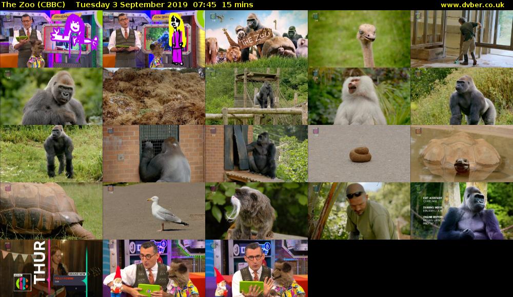 The Zoo (CBBC) Tuesday 3 September 2019 07:45 - 08:00