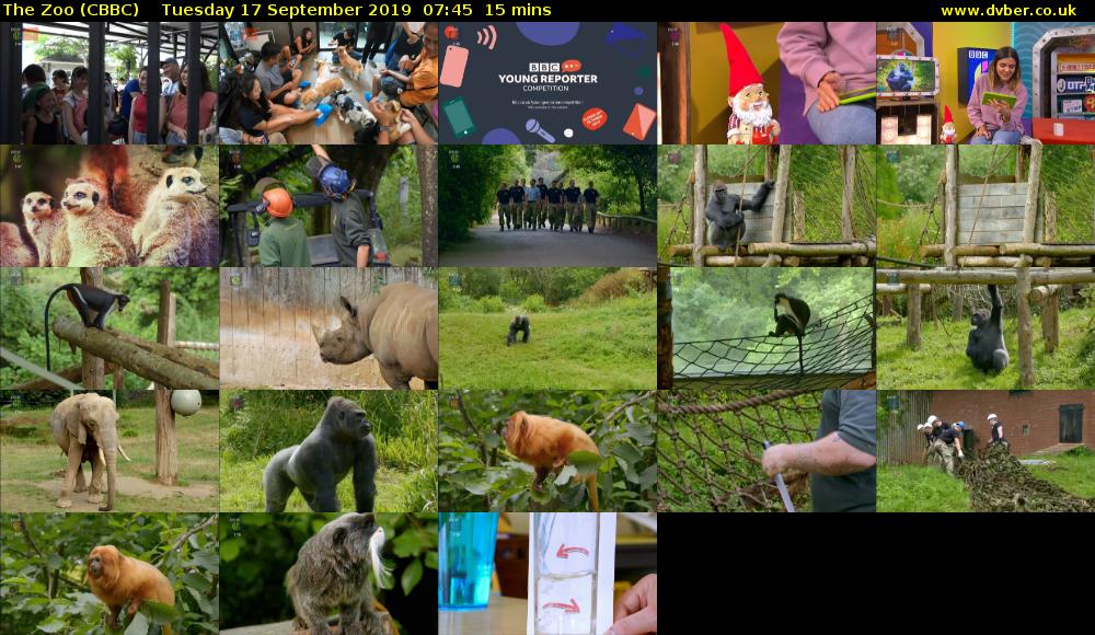 The Zoo (CBBC) Tuesday 17 September 2019 07:45 - 08:00
