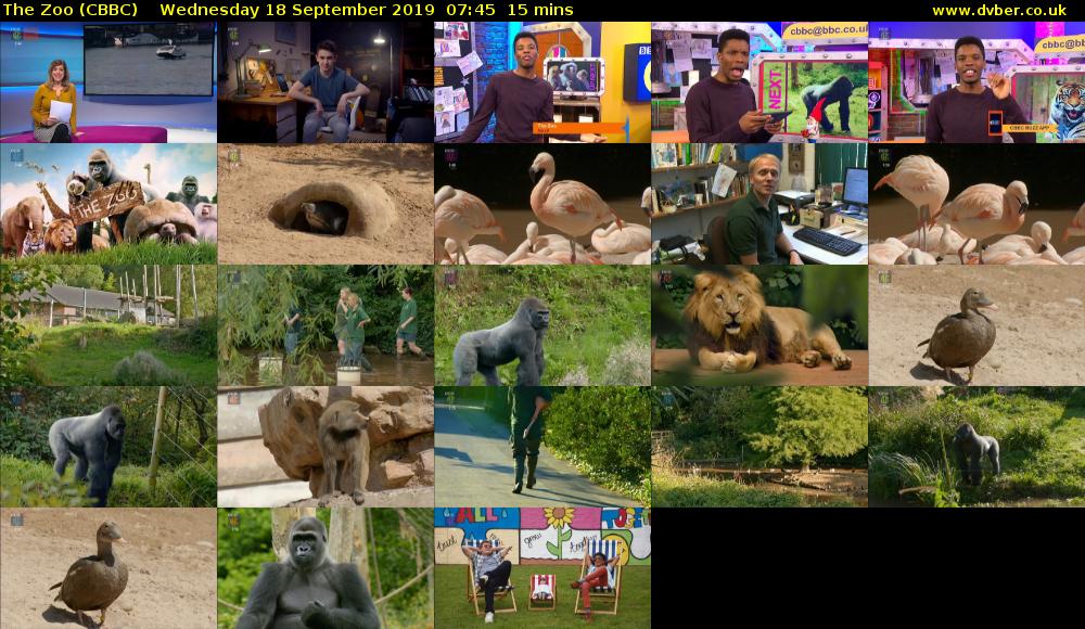 The Zoo (CBBC) Wednesday 18 September 2019 07:45 - 08:00