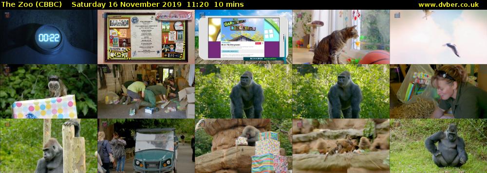 The Zoo (CBBC) Saturday 16 November 2019 11:20 - 11:30