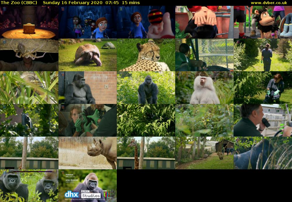 The Zoo (CBBC) Sunday 16 February 2020 07:45 - 08:00